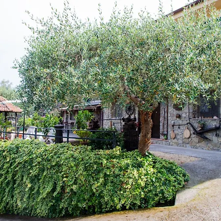 Appartamento Antica Macina - “la Taverna” Rocchetta Nervina